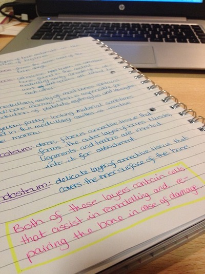 studyblr | Tumblr